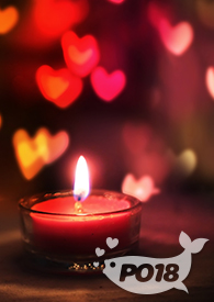 海贼王之最强副船长