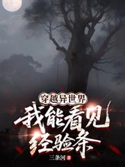 穿越异世界，我能看见经验条