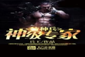 特种兵之神级专家