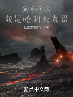 霍格沃茨：我是哈利大表哥