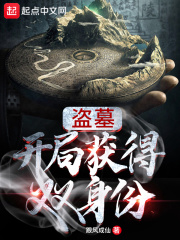 盗墓:开局获得双身份